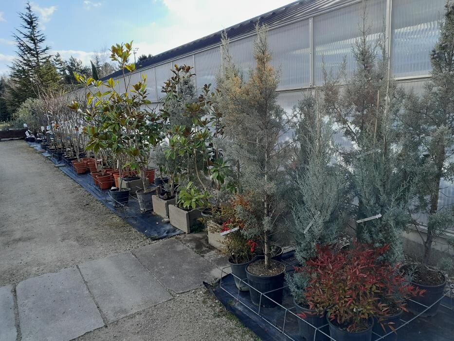 Bilder AustroPalm - Bio-Gärtnerei