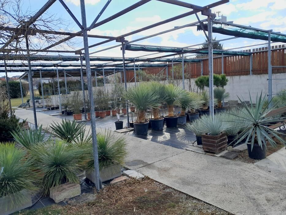 Bilder AustroPalm - Bio-Gärtnerei