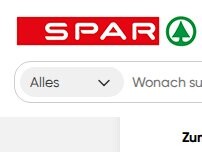 Website Screenshot DESPAR express