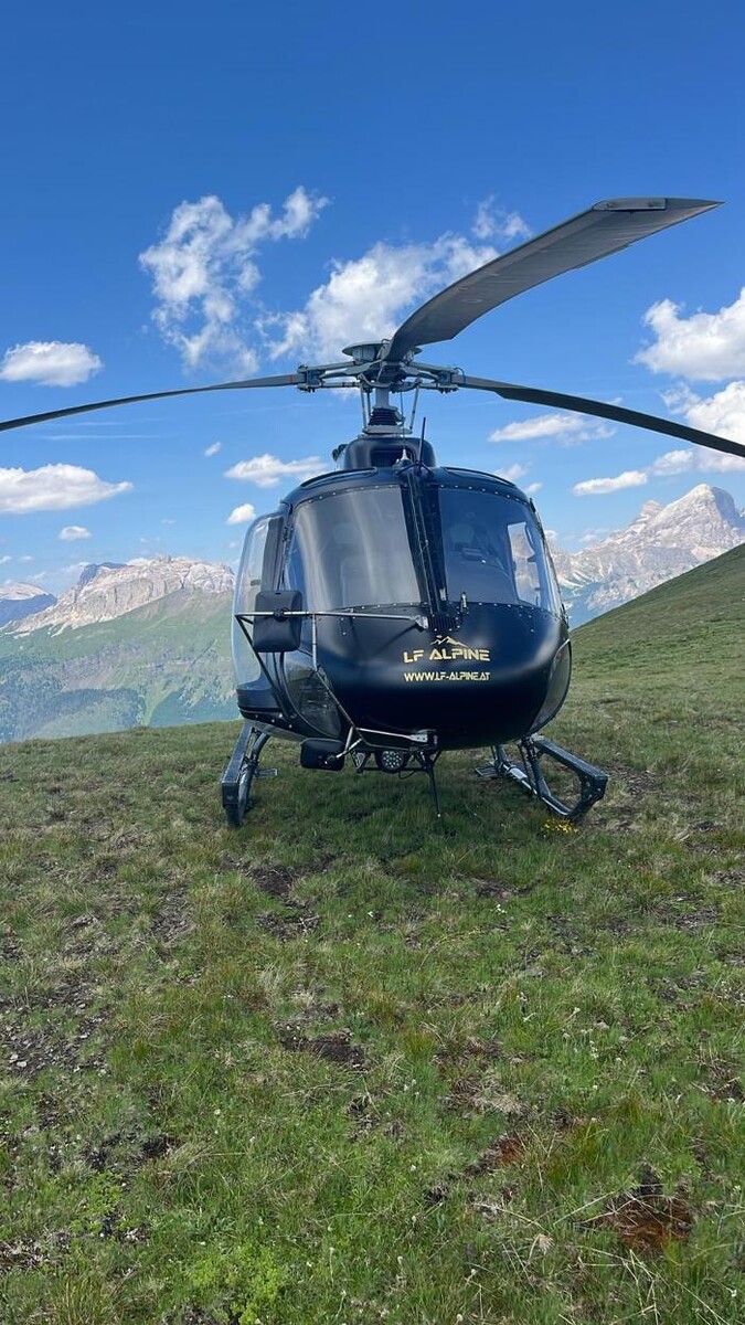 Bilder LF Alpine GmbH