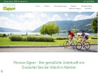 Website Screenshot Hans Eigner jun.