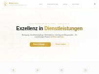 Website Screenshot Blitz-Crew Project & Cooperation GmbH