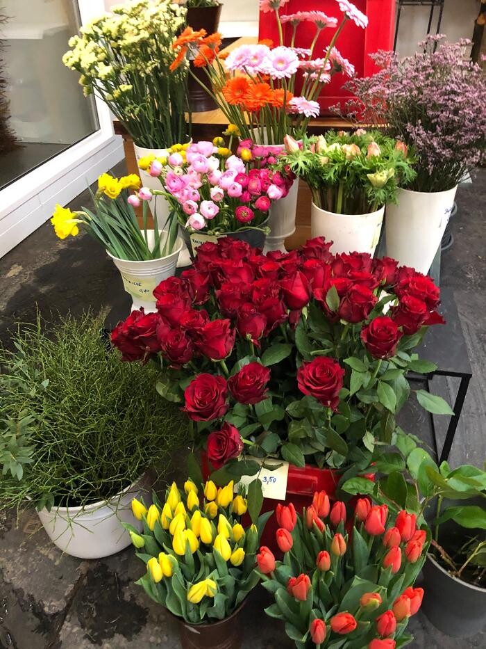 Bilder Baumschule und Gartengestaltung Michael Murlasits