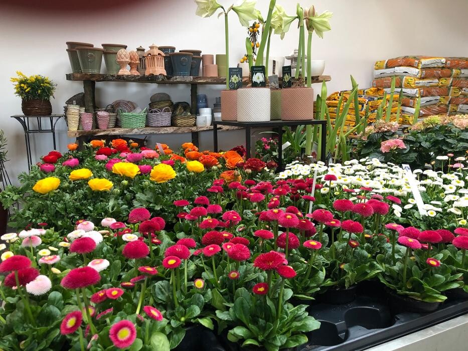 Bilder Baumschule und Gartengestaltung Michael Murlasits