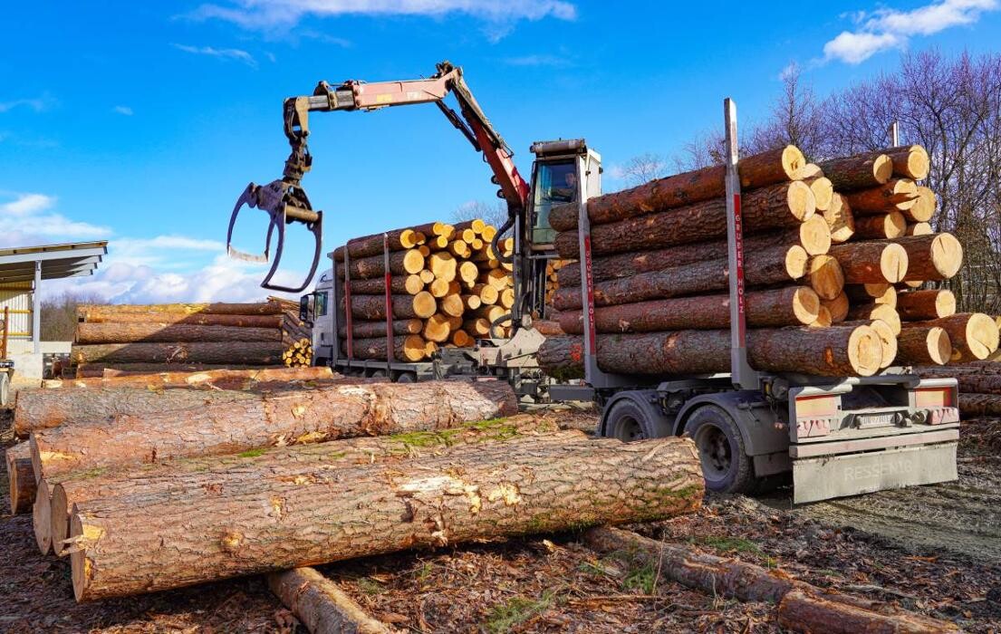 Bilder Benkö Holz
