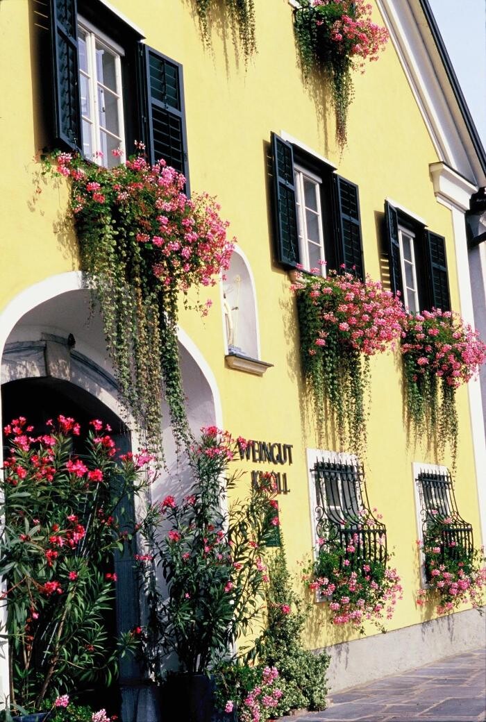 Bilder Weingut Knoll