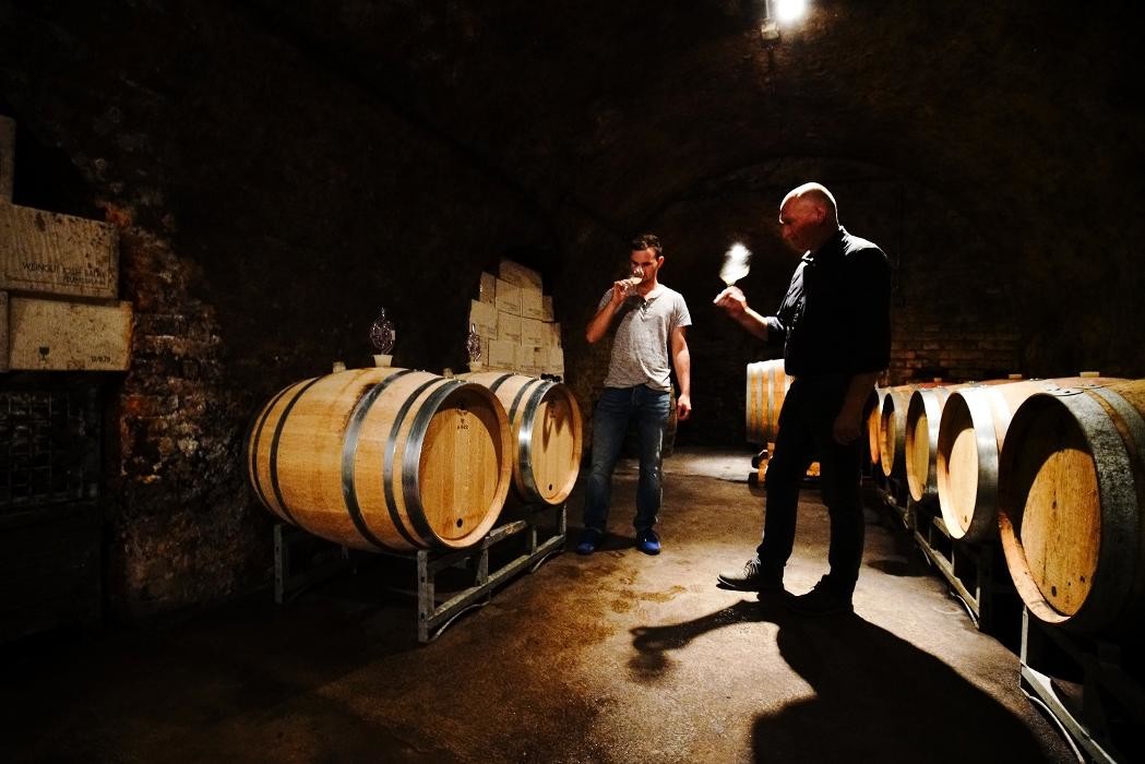 Bilder Weingut Josef Bauer