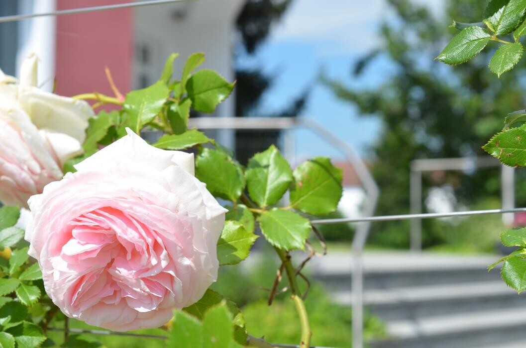 Bilder Hotel MARIA - ViennaSouth
