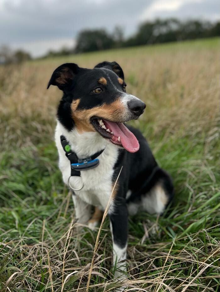 Bilder Hotel MARIA - ViennaSouth