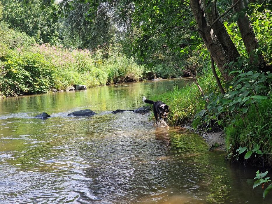 Bilder Hotel MARIA - ViennaSouth