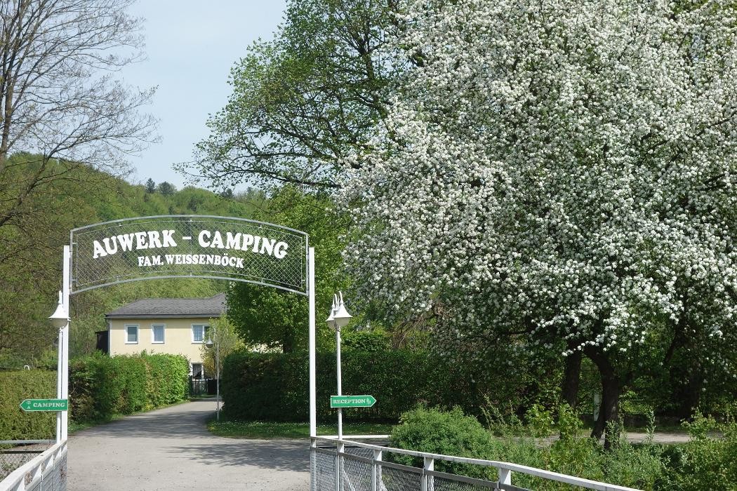 Bilder Auwerk Camping