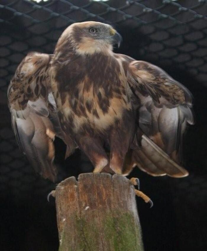 Bilder Hotel-Restaurant Marienhof