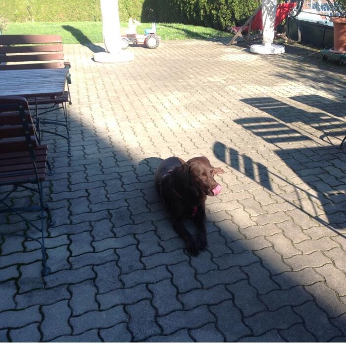 Bilder Hotel-Restaurant Marienhof