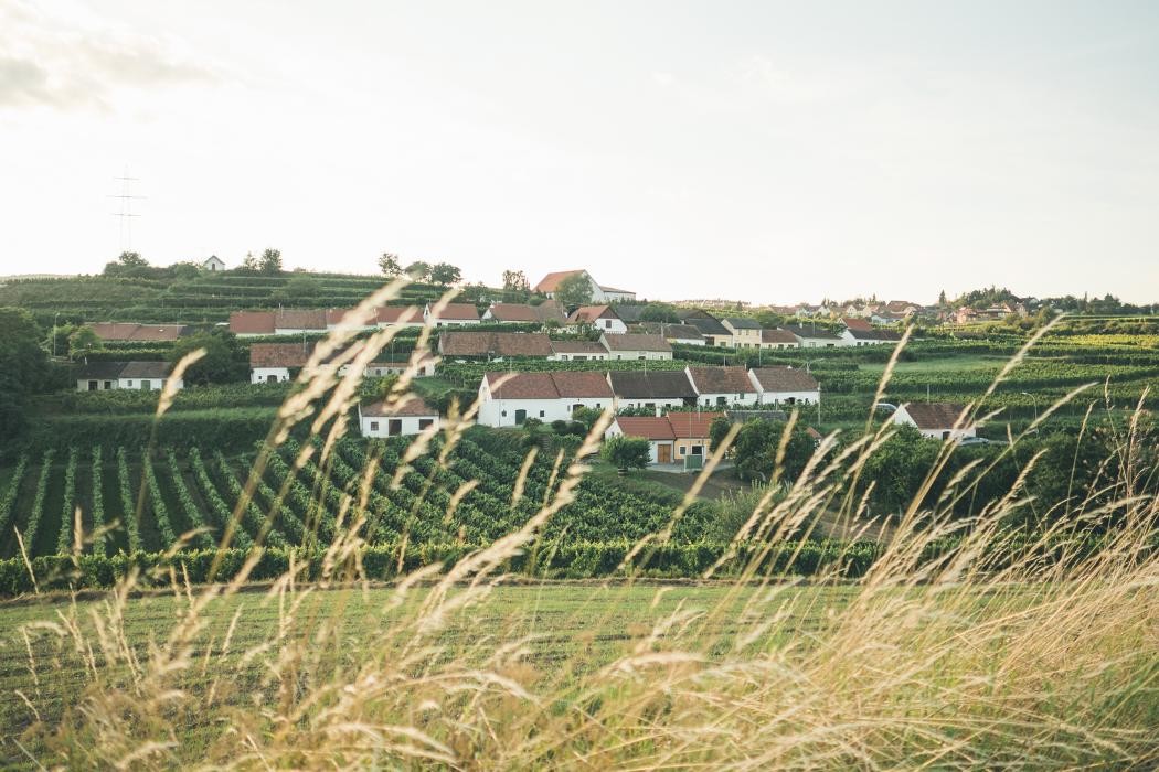 Bilder Bio Weingut Gruber 43 - Markus und Gabi Gruber