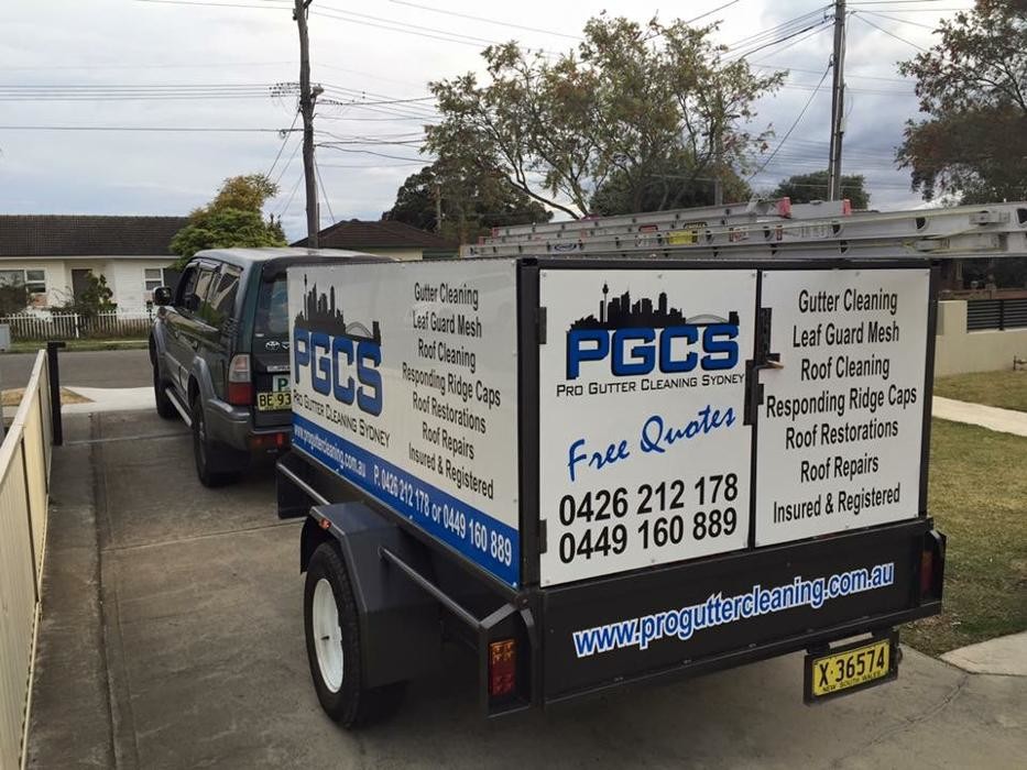 Images Pro Gutter Cleaning Sydney