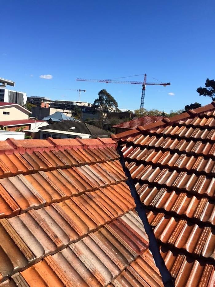 Images Pro Gutter Cleaning Sydney