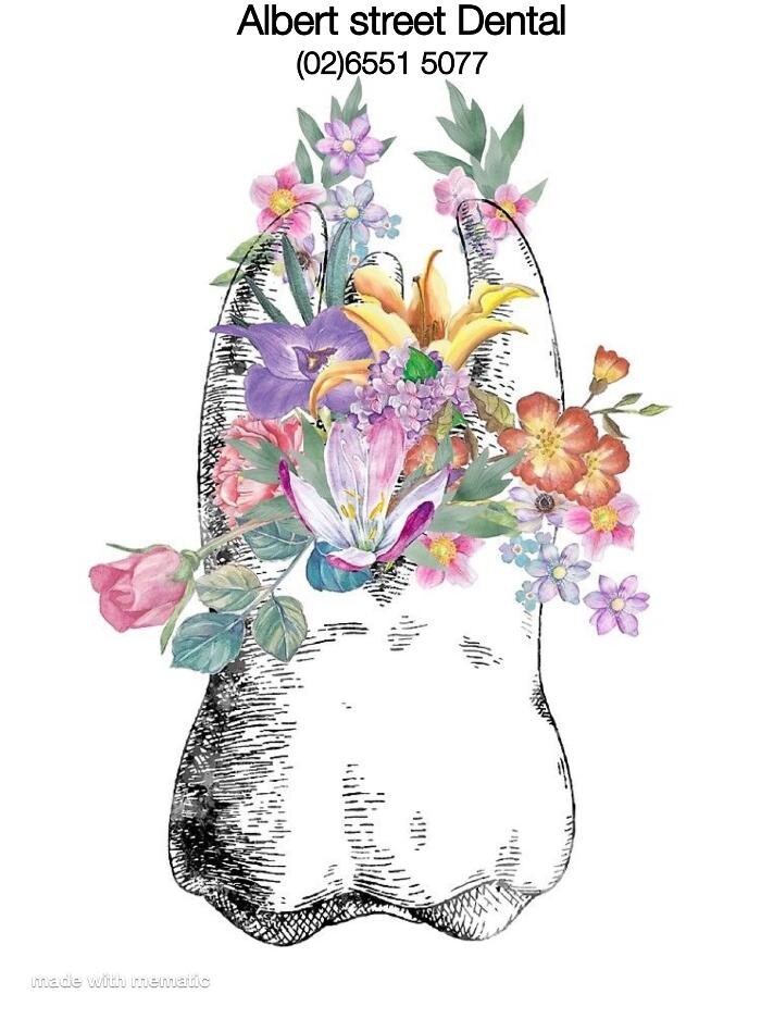 Images Albert Street Dental Practice