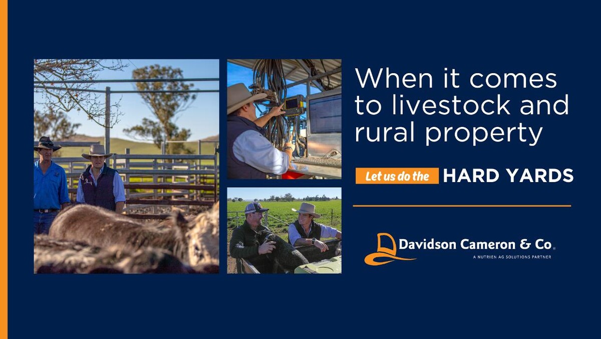 Images Davidson Cameron & Co - Coolah