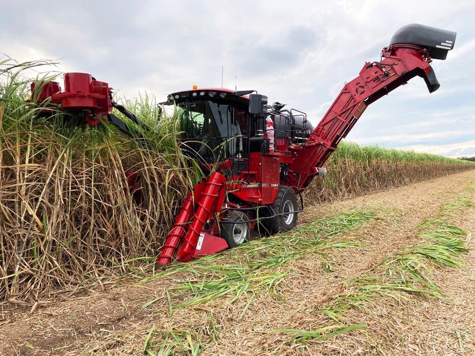 Images Brown and Hurley Agriculture Mackay