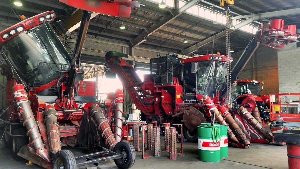 Images Brown and Hurley Agriculture Mackay