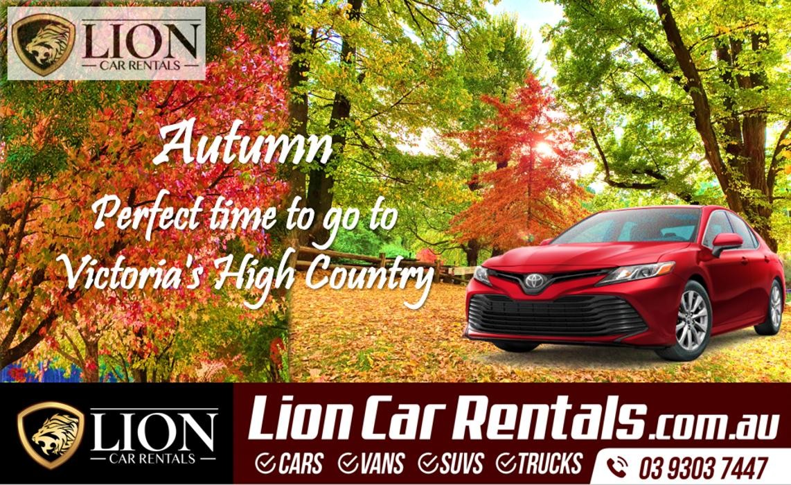 Images Lion Car Rentals