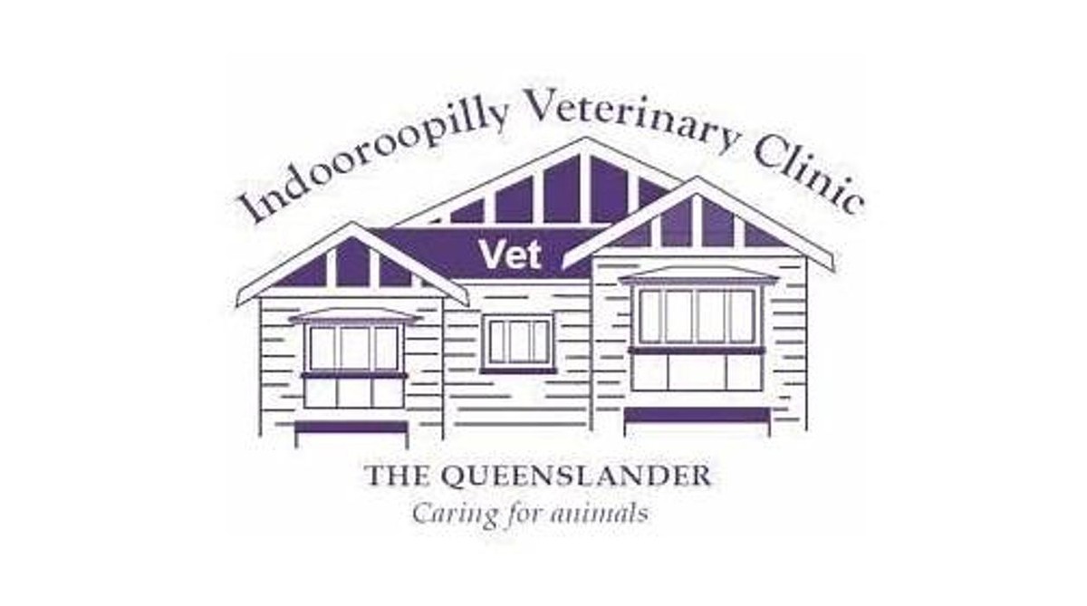 Images Indooroopilly Veterinary Clinic