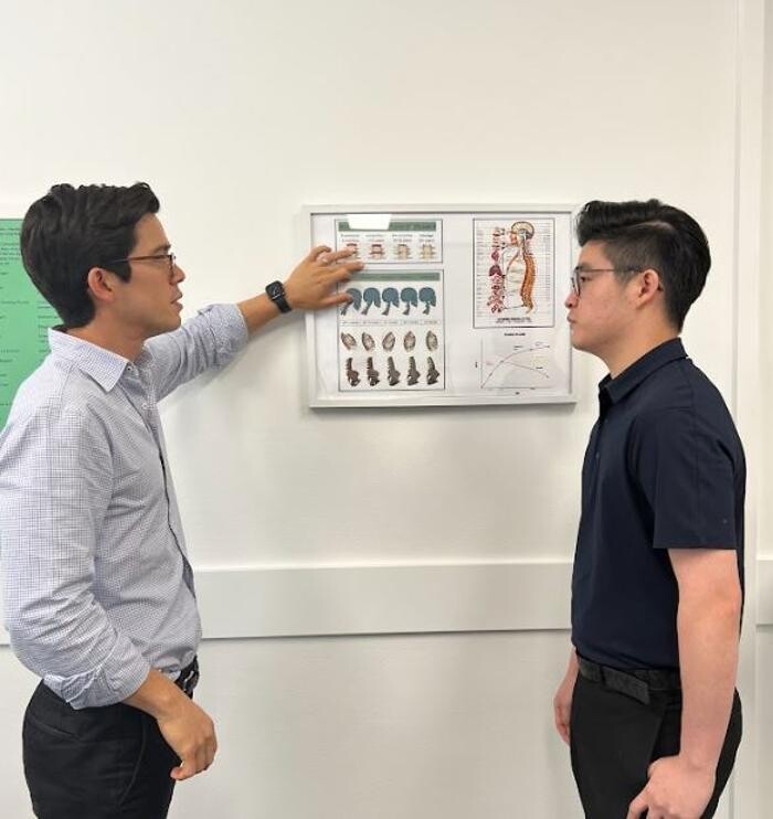 Images Wellbeing Chiropractic Hornsby