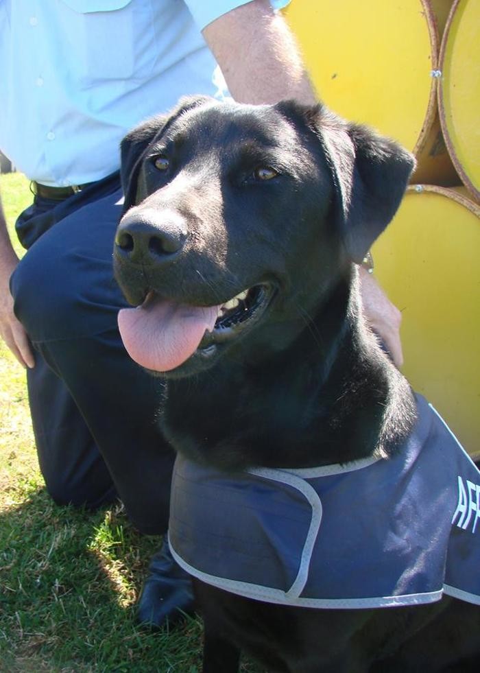 Images Australian Federal Police