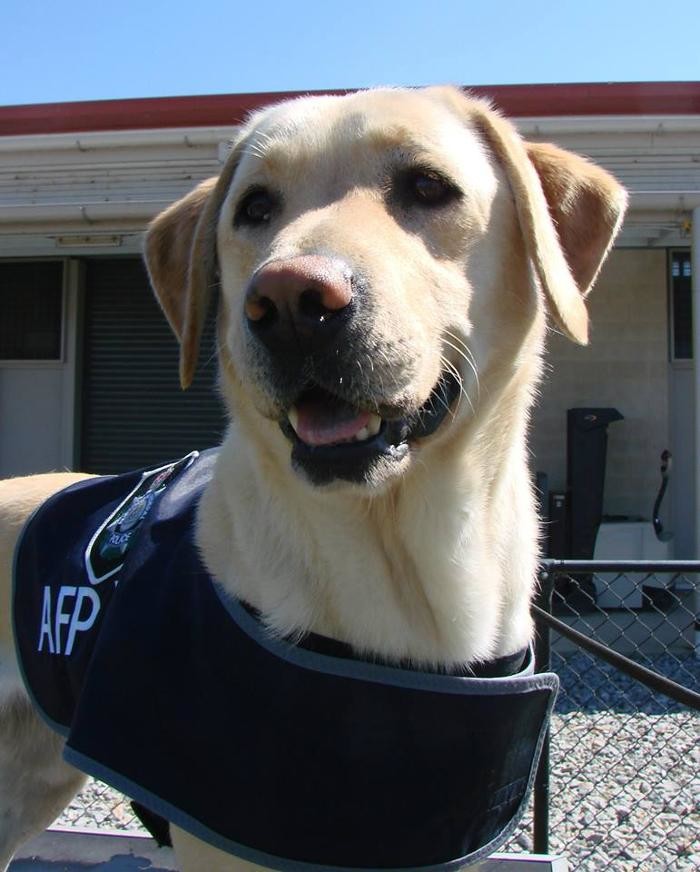 Images Australian Federal Police