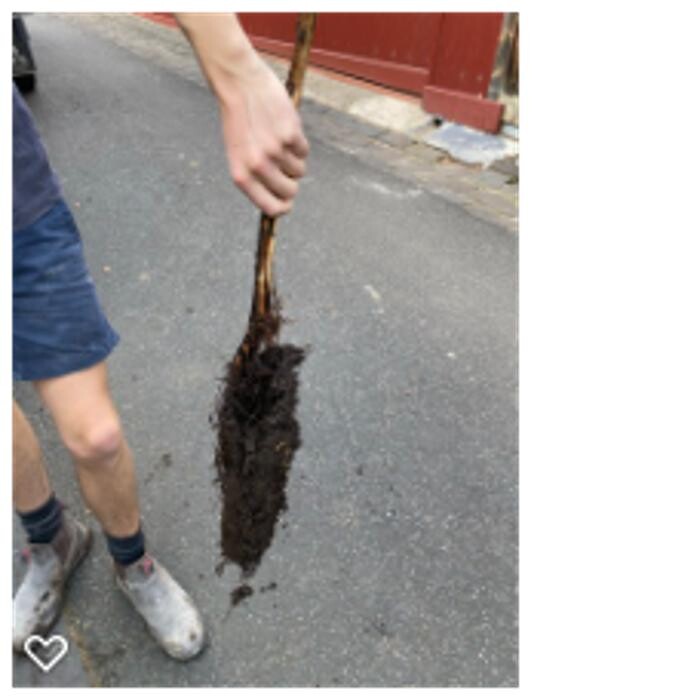 Images Your Pro Plumber - Blocked Drain & Emergency Plumber | Melbourne