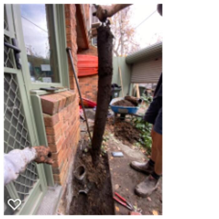 Images Your Pro Plumber - Blocked Drain & Emergency Plumber | Melbourne