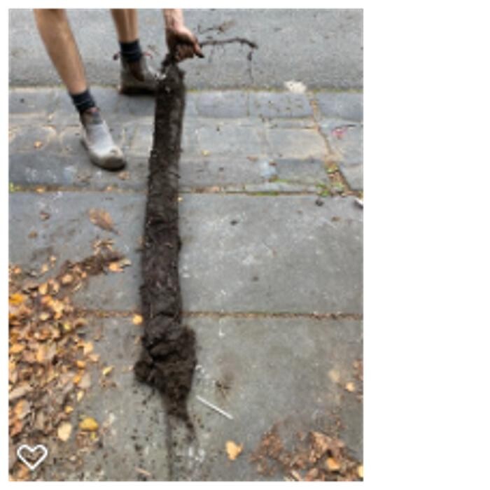 Images Your Pro Plumber - Blocked Drain & Emergency Plumber | Melbourne