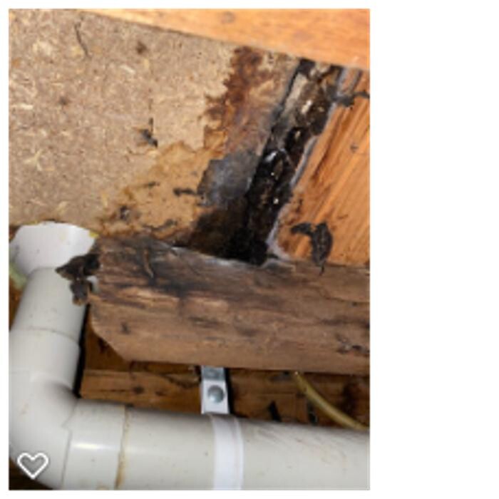Images Your Pro Plumber - Blocked Drain & Emergency Plumber | Melbourne