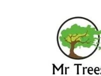 Website Screenshot Mr Trees