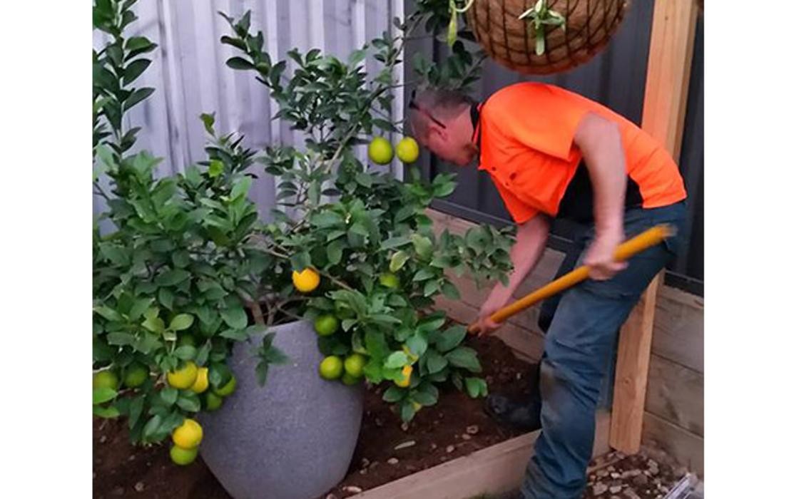 Images Winzar's Lawnmowing