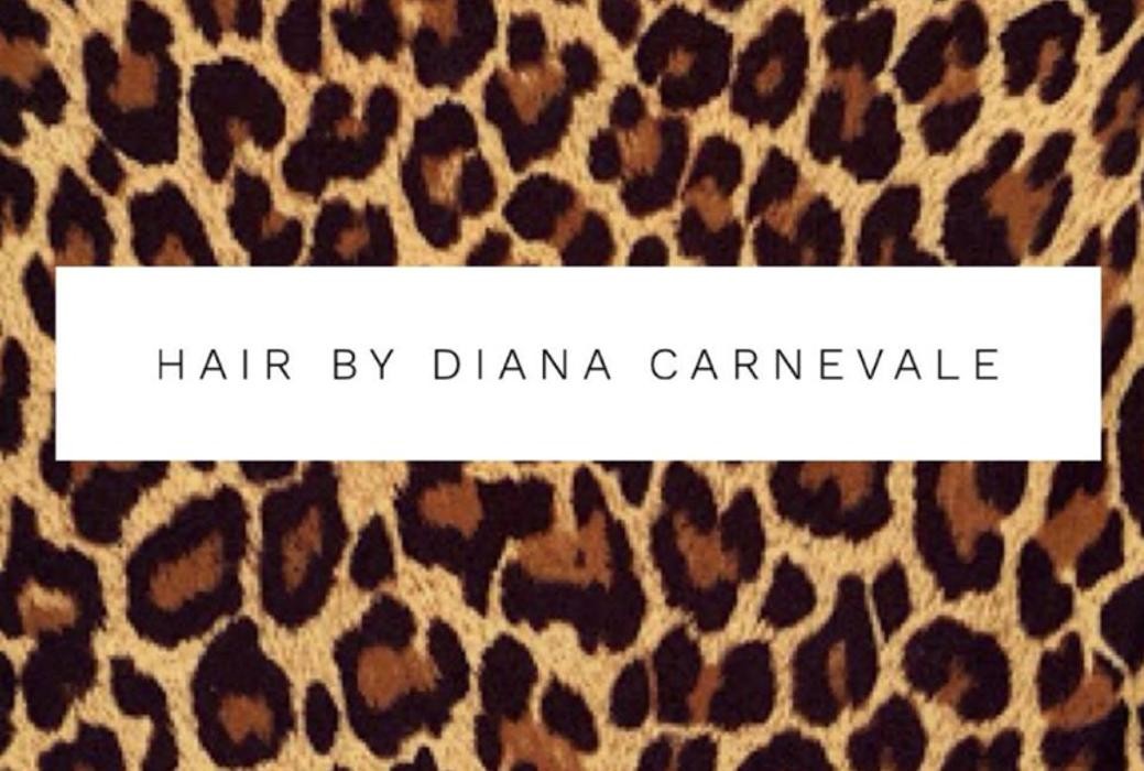 Hair By Diana Carnevale Logo