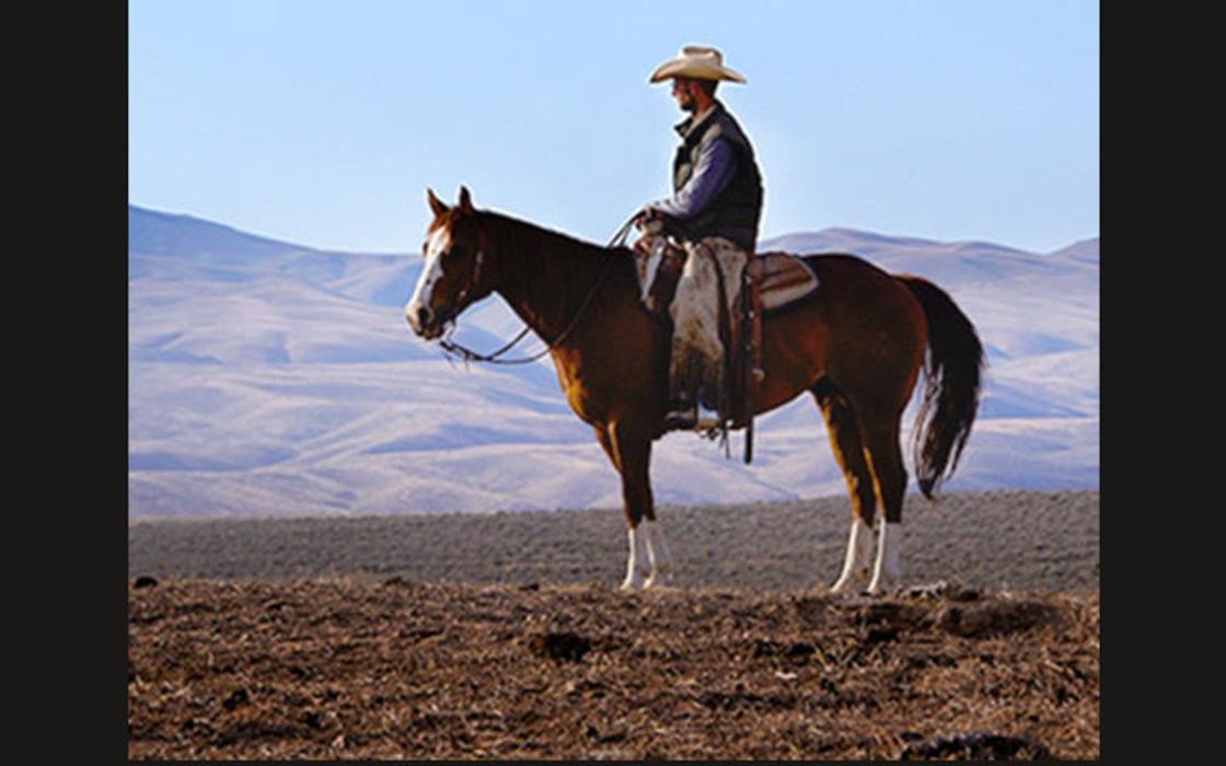 Images Newmont Australia