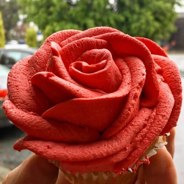 Images The Cake Factory