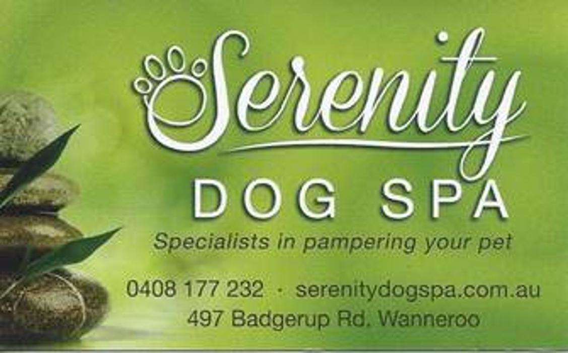 Images SERENITY DOG SPA