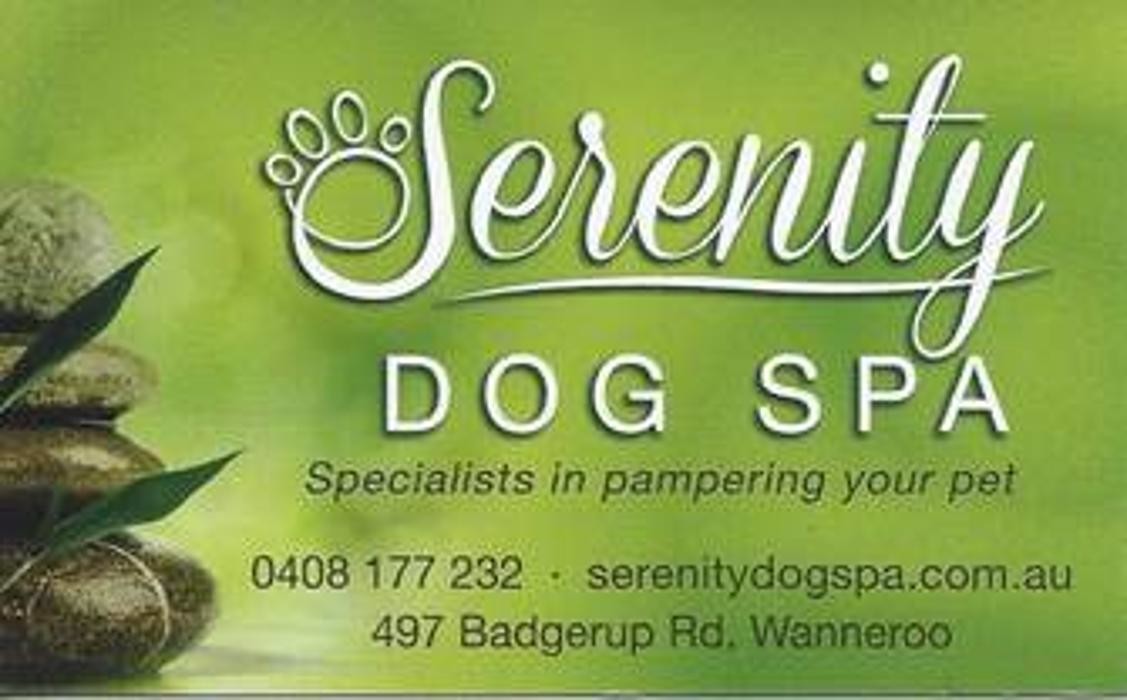 Images SERENITY DOG SPA