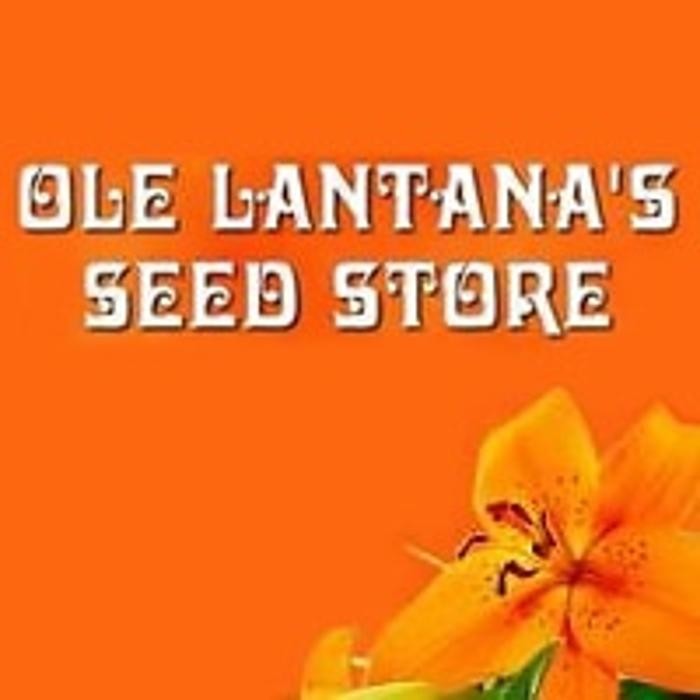 Ole Lantana Seeds Logo