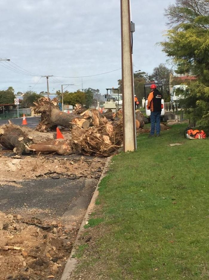 Images Tatiara Trench Diggers Pty Ltd