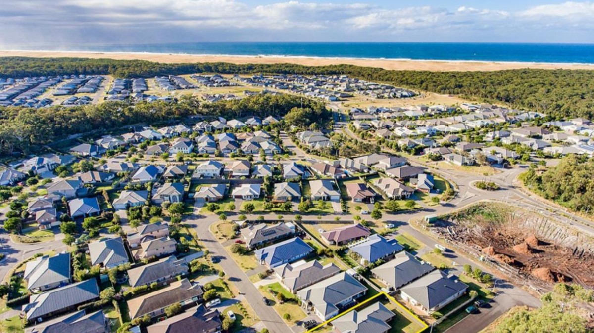 Images Cohen Handler