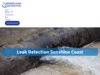 Water Leak Detective website screenshot