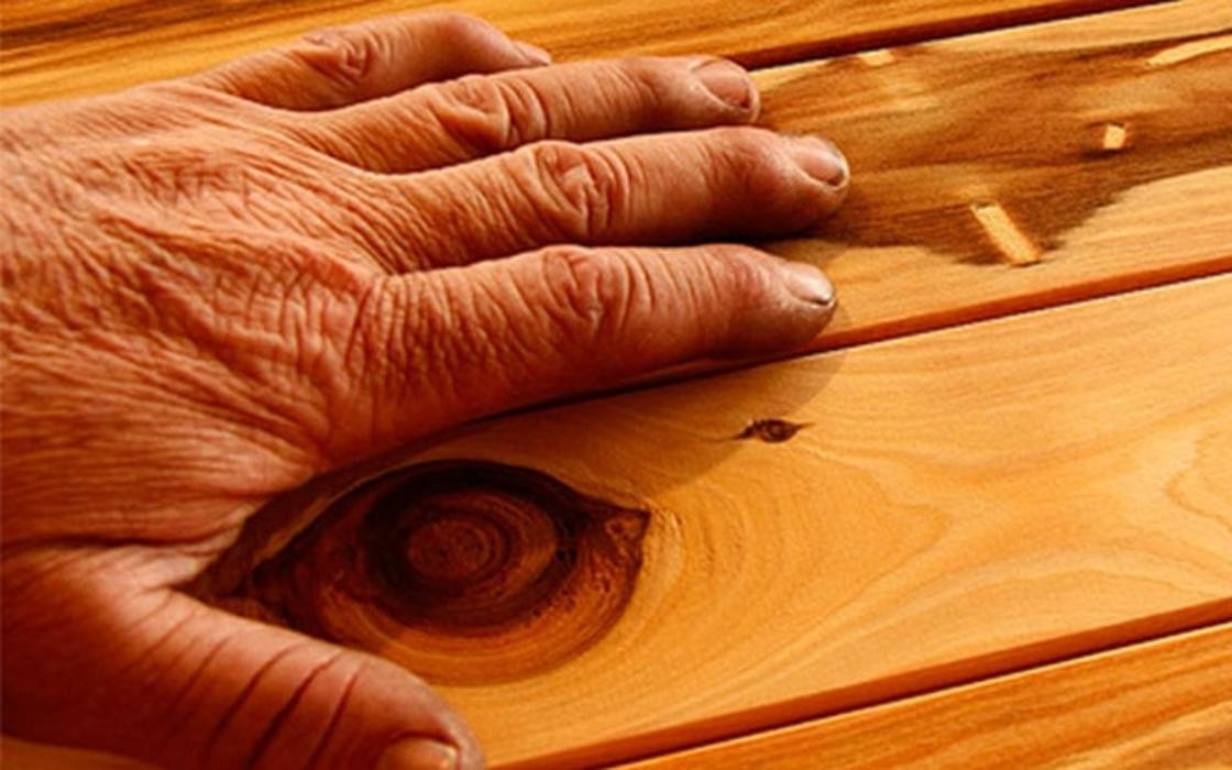 Images Forestry Corporation of NSW