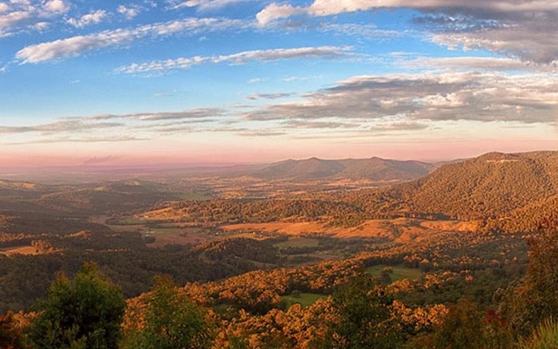 Images Forestry Corporation of NSW