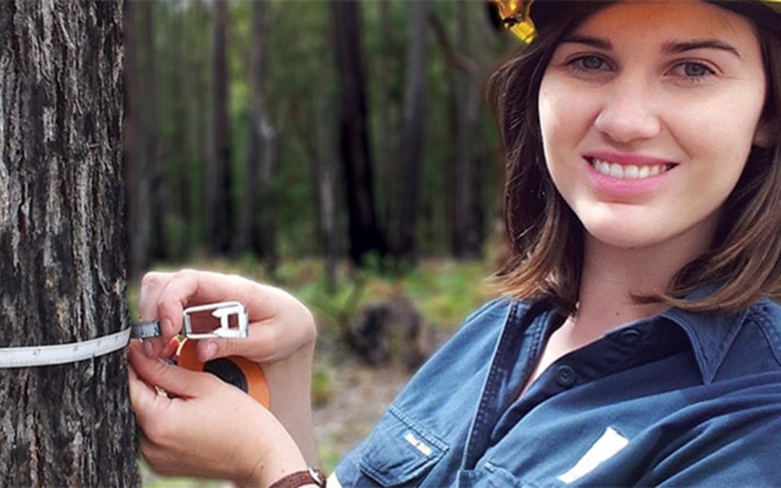 Images Forestry Corporation of NSW