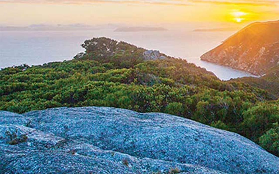 Images RAC Auto Services Morley