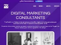 Website Screenshot TwoTwoSix Digital - Digital Marketing Consultant