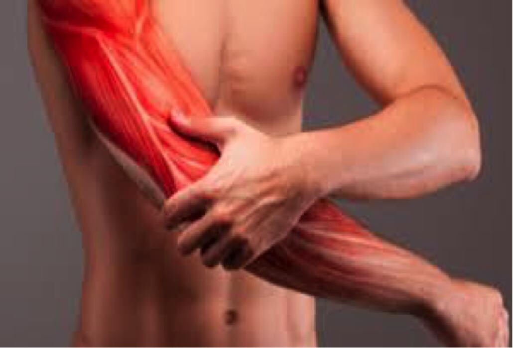 Images Rub Massage Kent Town